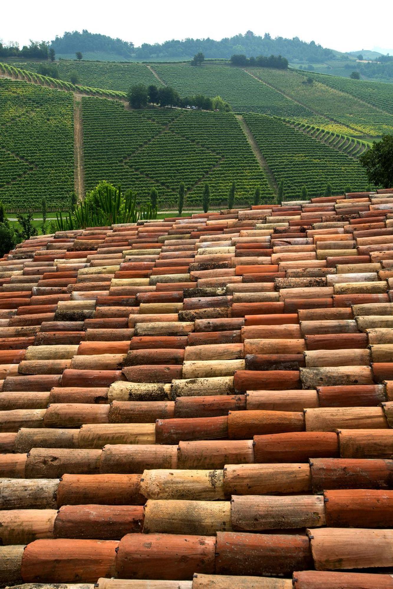Relais Di Tenuta Santa Caterina B&B Grazzano Badoglio Pokój zdjęcie