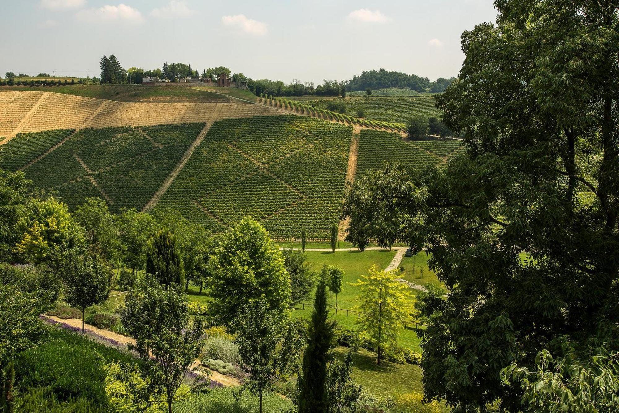 Relais Di Tenuta Santa Caterina B&B Grazzano Badoglio Pokój zdjęcie
